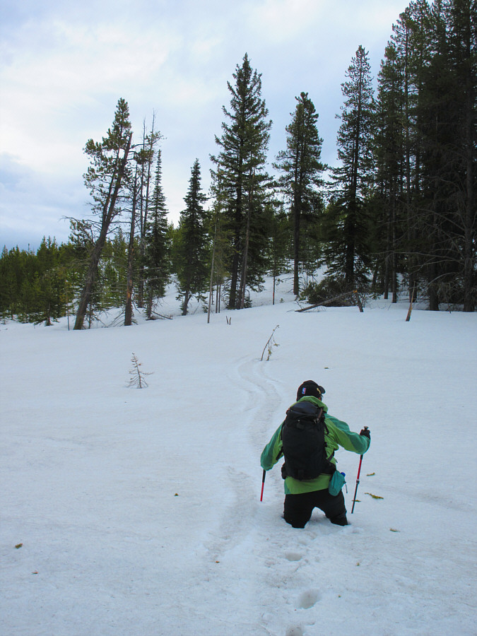 Oh how I miss my skis!