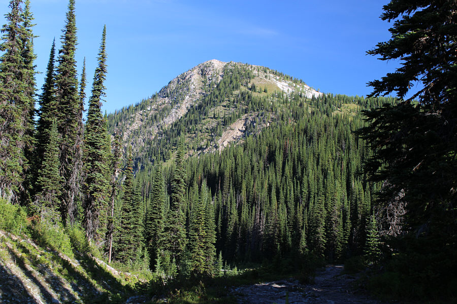 Easier and shorter than it looks!