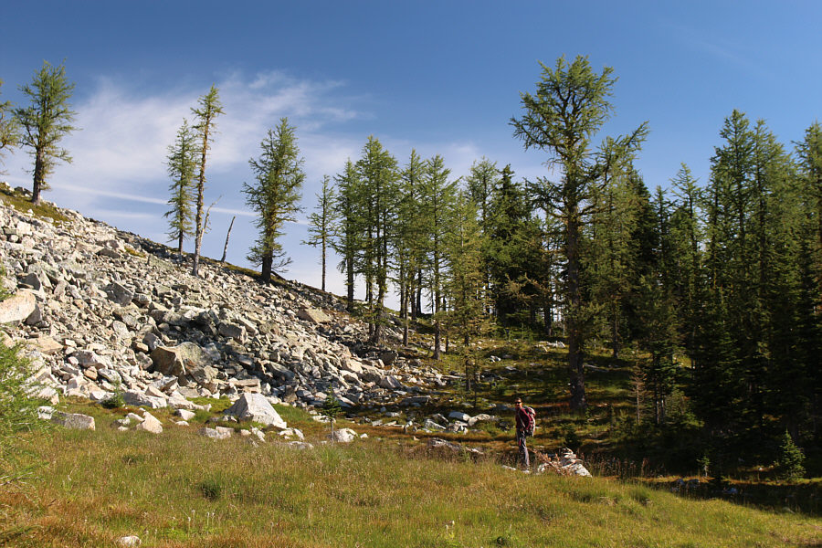 This would be a nice hike in the fall with all the larch trees here.