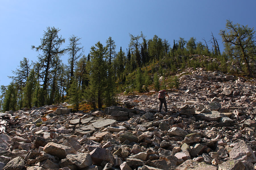 Better than the bushwhack near the start!