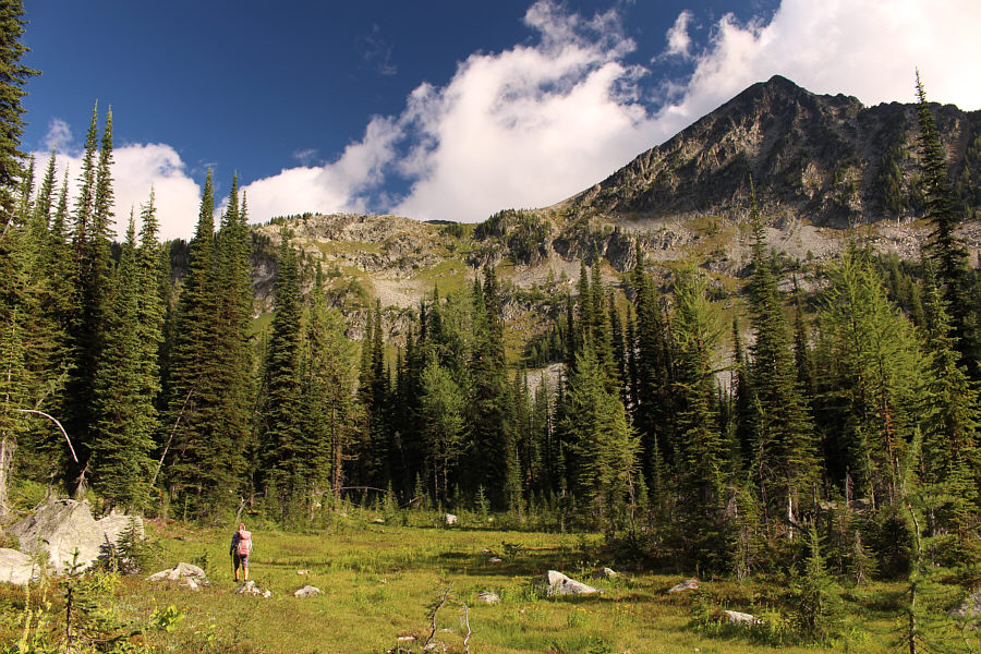 If you're on track, there shouldn't be any bushwhacking.