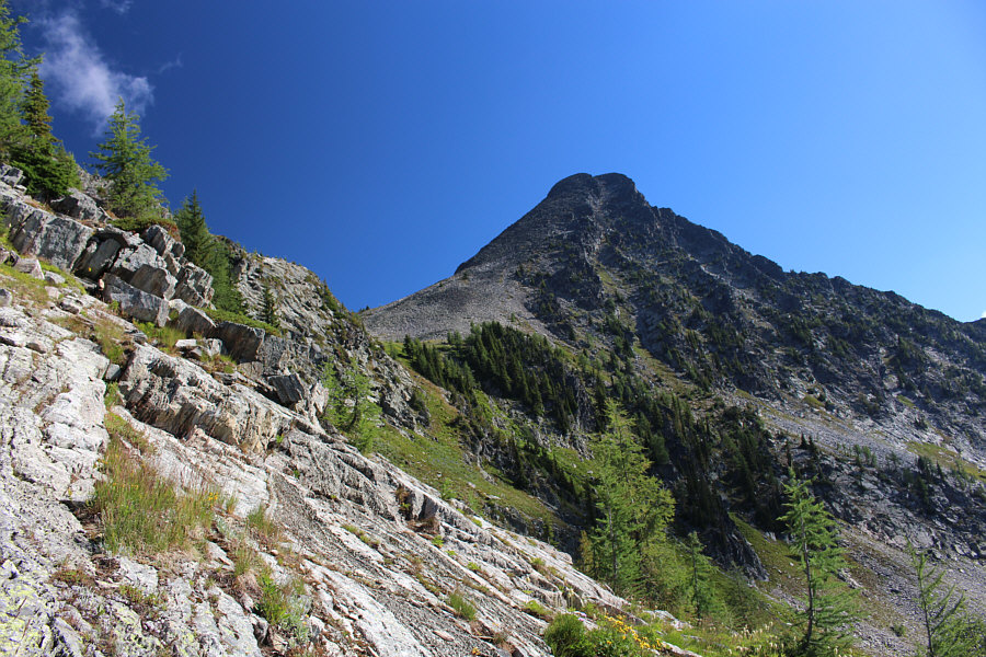 Looks a little daunting...