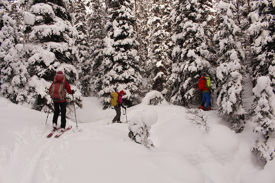 There is still running water here even in the middle of winter.