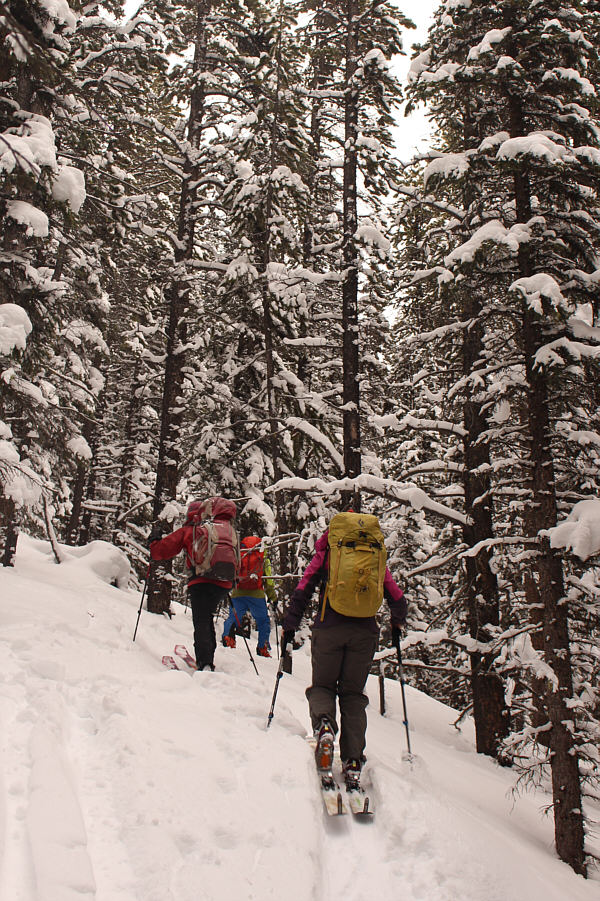 Heel lifts help here!