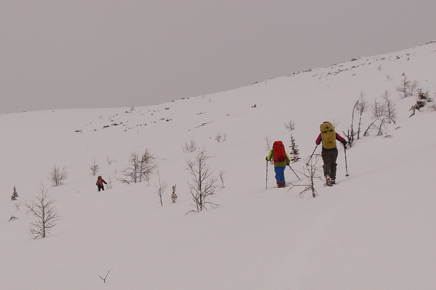 Darn flat light! We need some sunshine!