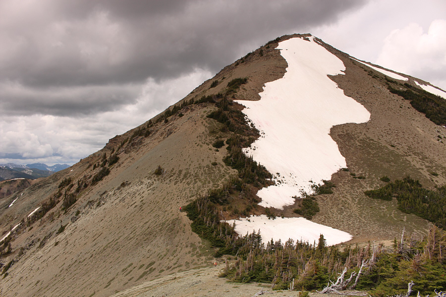 Not as bad as the initial climb above Macdonald Pass.