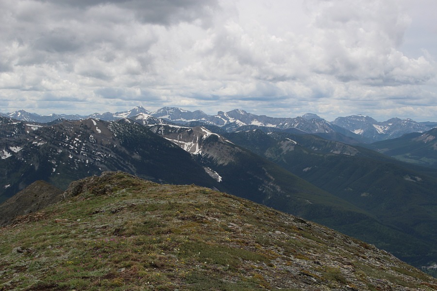 Will have to go back for Swope and Overfold in the future...maybe the far future!