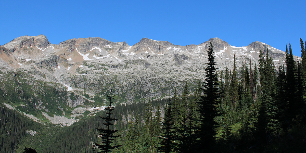 They all kinda look the same!