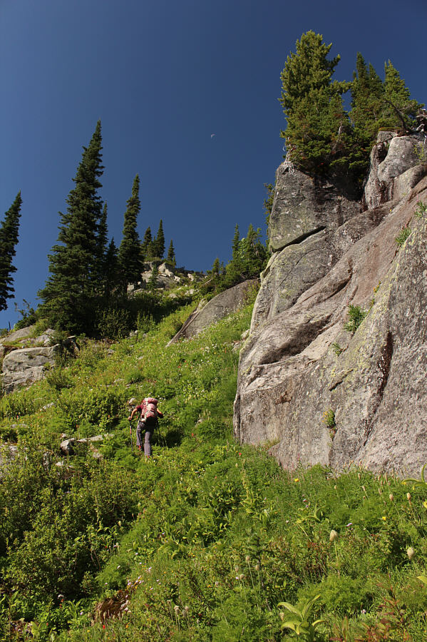 It's steep, but it works!