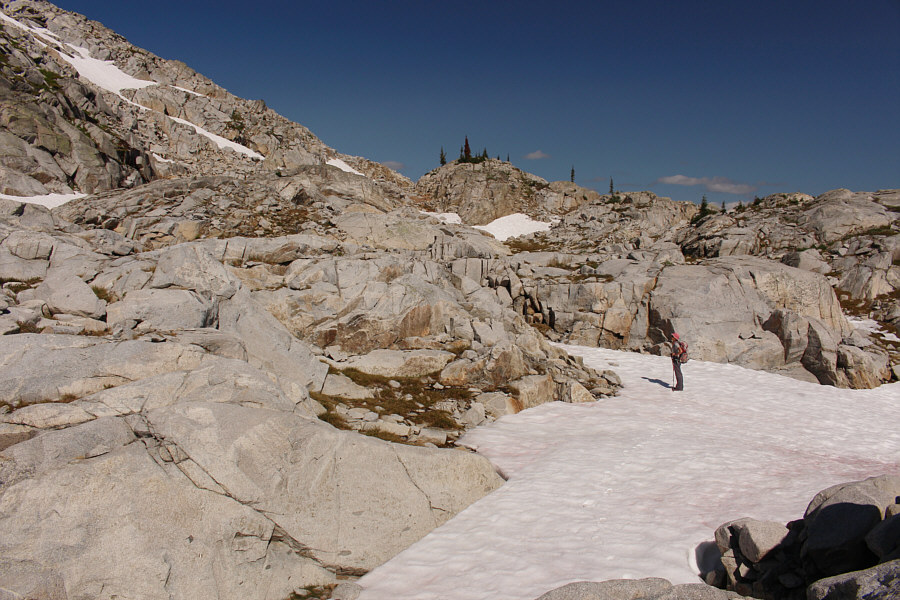 Lots of options here.