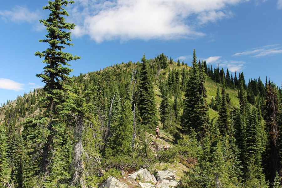 Still about 100 metres of elevation gain left here!