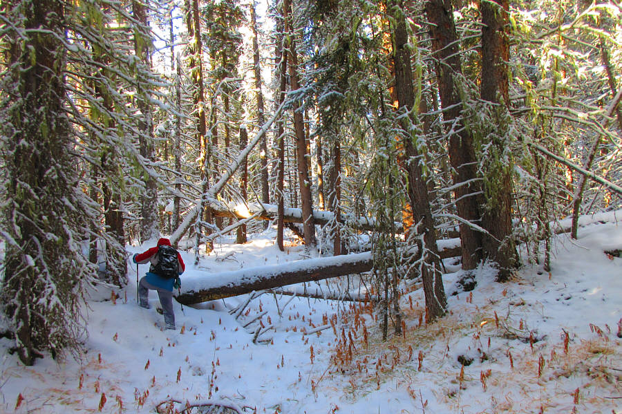 Luckily, we didn't run into the Minotaur!