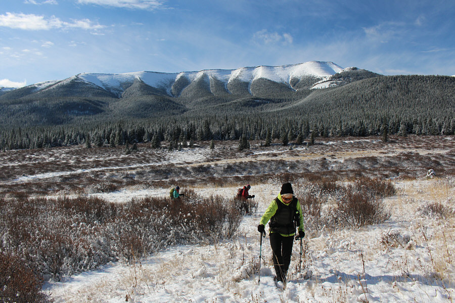 Time to get to work!