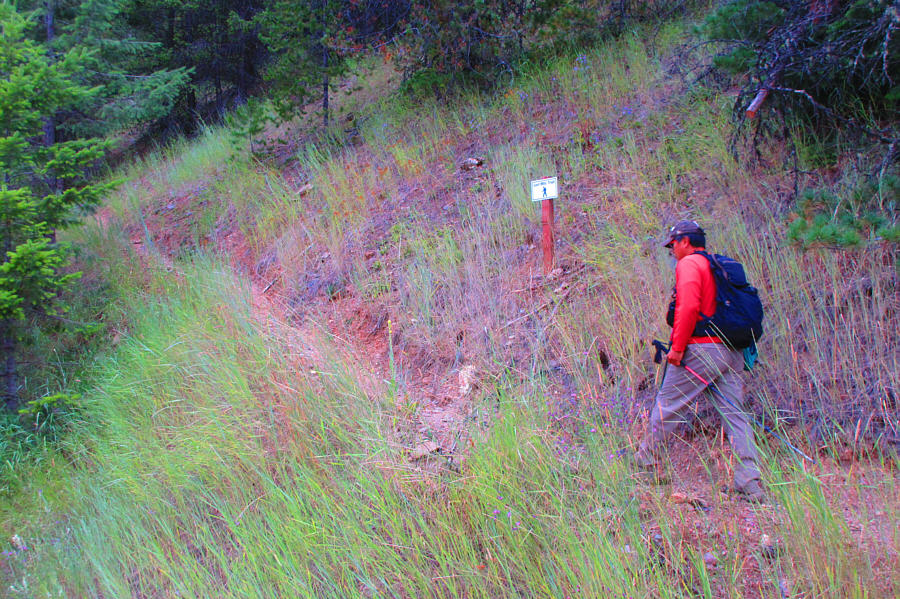 The true crux of this trip is crossing the highway!