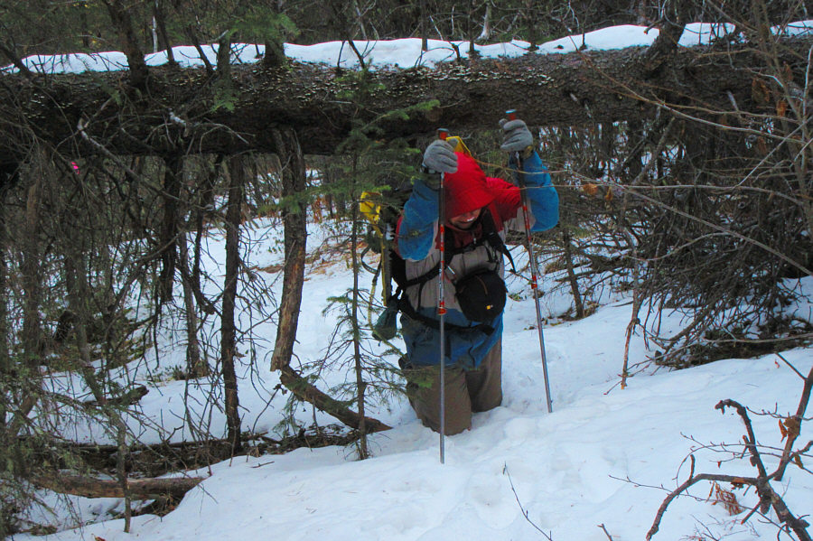 Or I'm actually a midget!