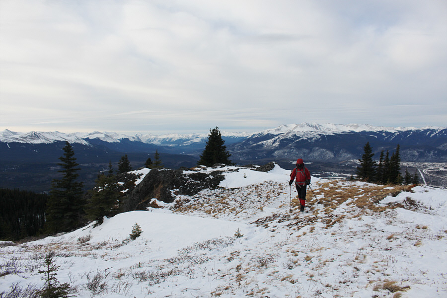 There is much worth exploring here in the future!