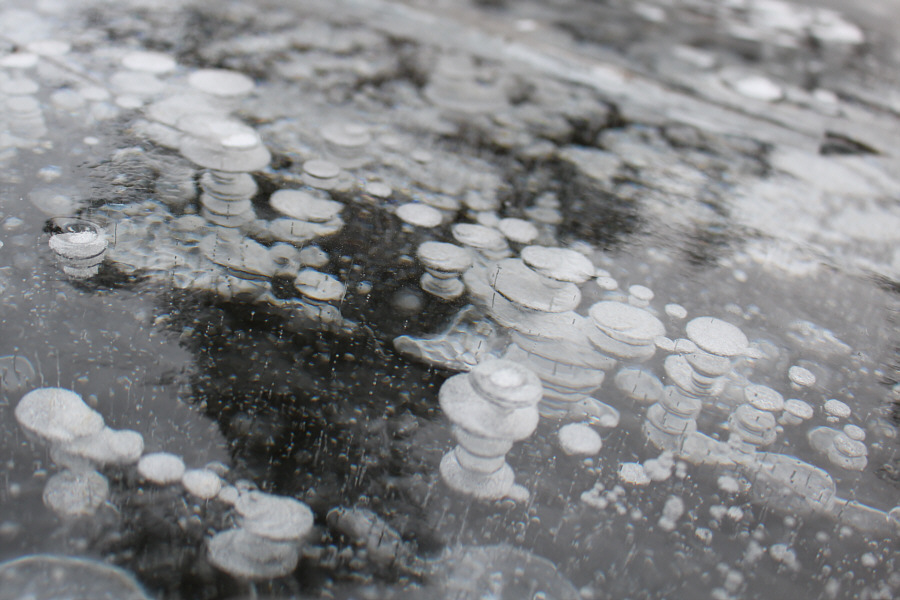 Tiny bubbles...in the wine...make me happy...make me feel fine!