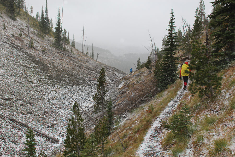 I think "Gunsight Notch" would be apt!