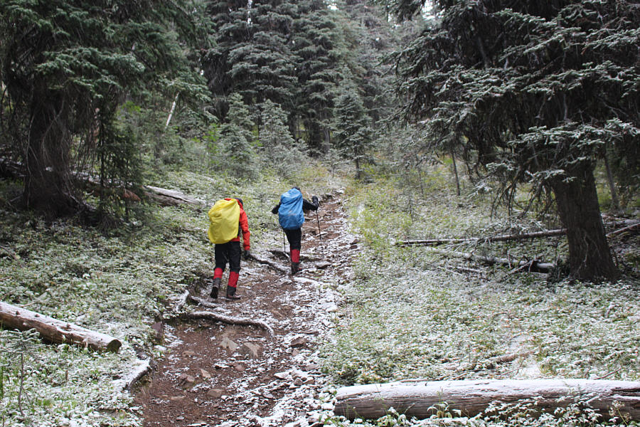 A nice and wide horse trail!