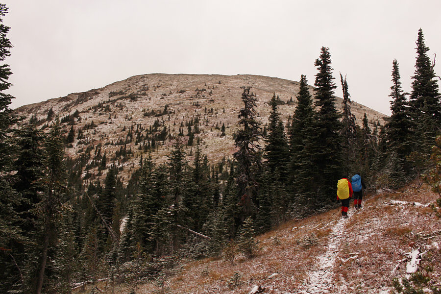 It would have been easy to get up here even without the trail.
