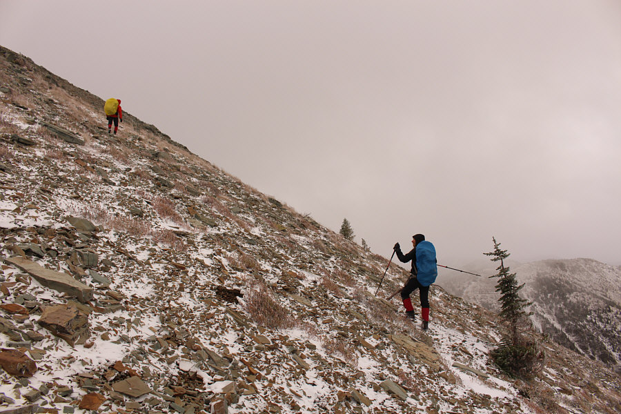 Look at how the tree is bending!