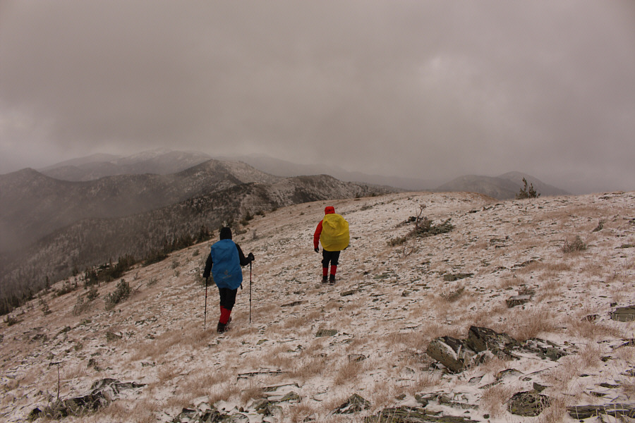 Bracing for the wind...