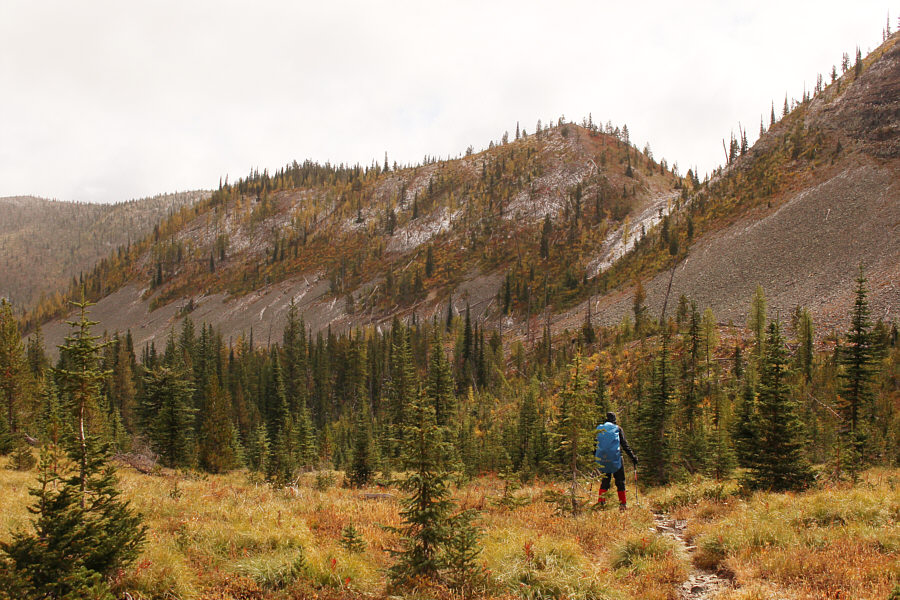 Some nice fall colours already!