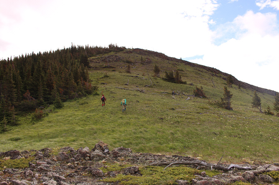 So why do you think this hill is named, "Maverick"?