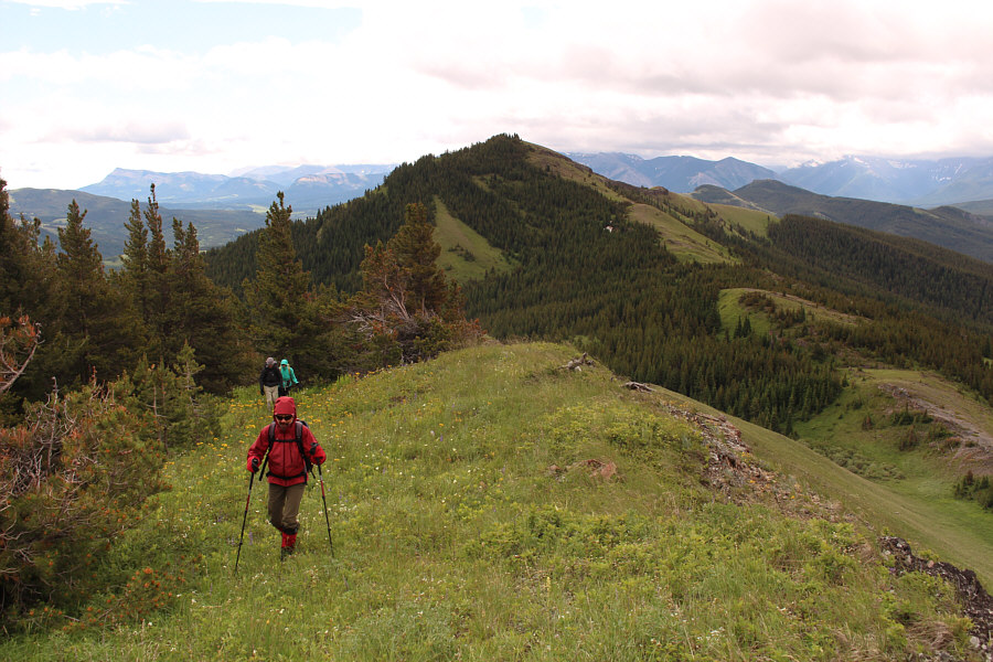 Great ridge walk so far except for the brutal wind!