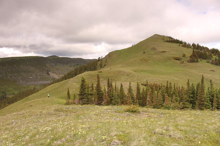 Very good physical distancing in these times of the COVID-19 pandemic!