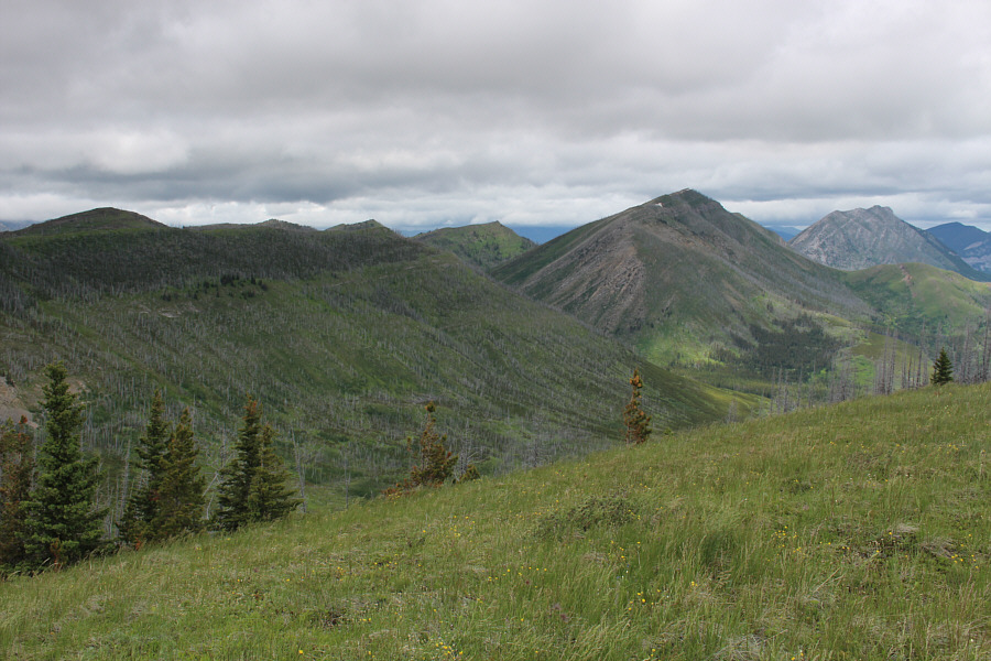 Lotsa great ridge walking around here!