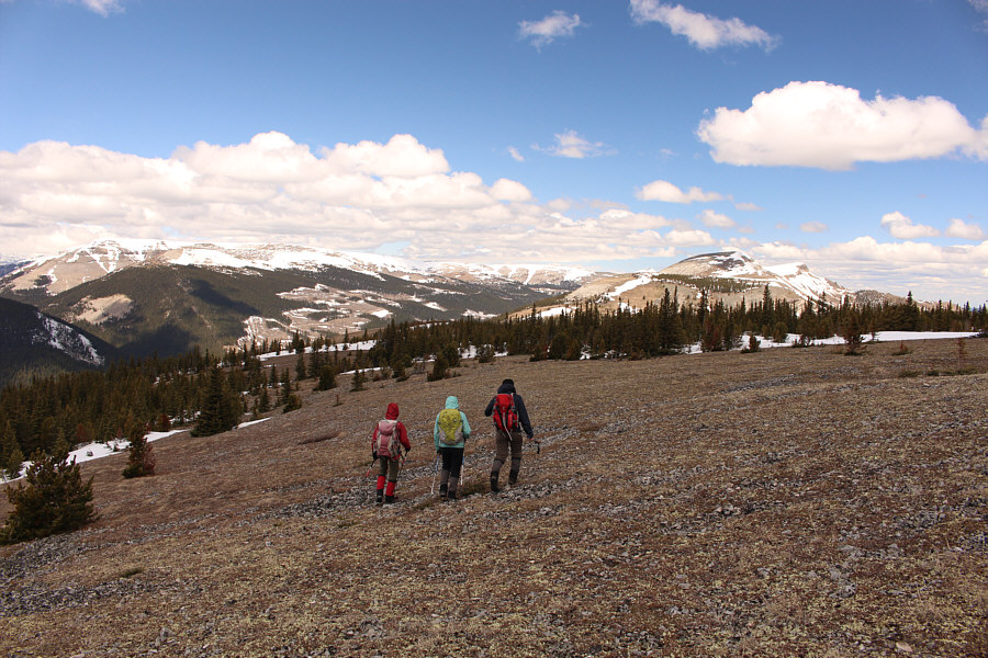 We're heading for Ali's car!