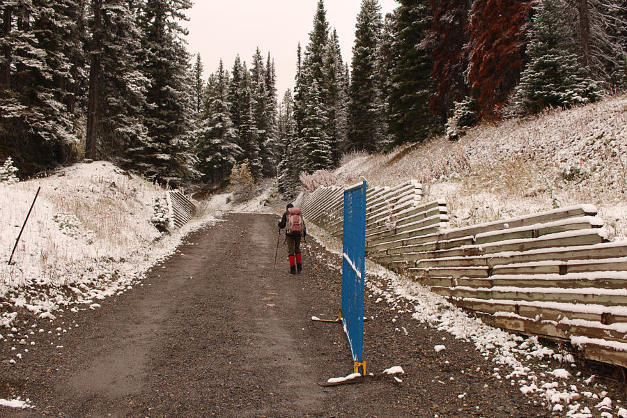 The lack of signage around here kinda sucks!