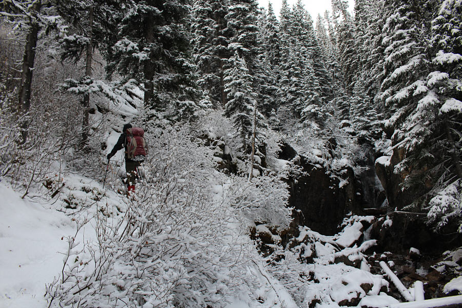 The path looked promising at first...