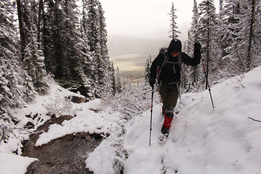 The trip is already more arduous than expected!