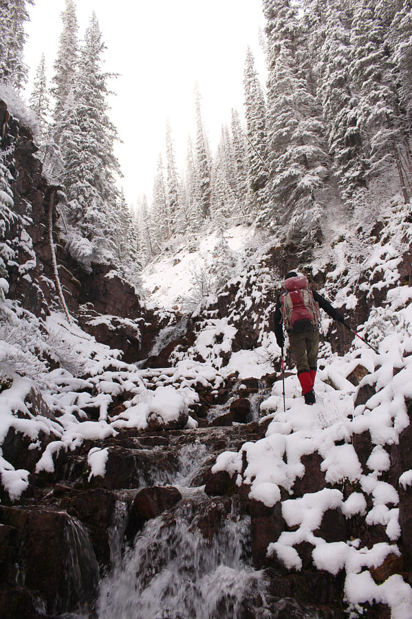 It feels like we're going up sh*t creek without a paddle...