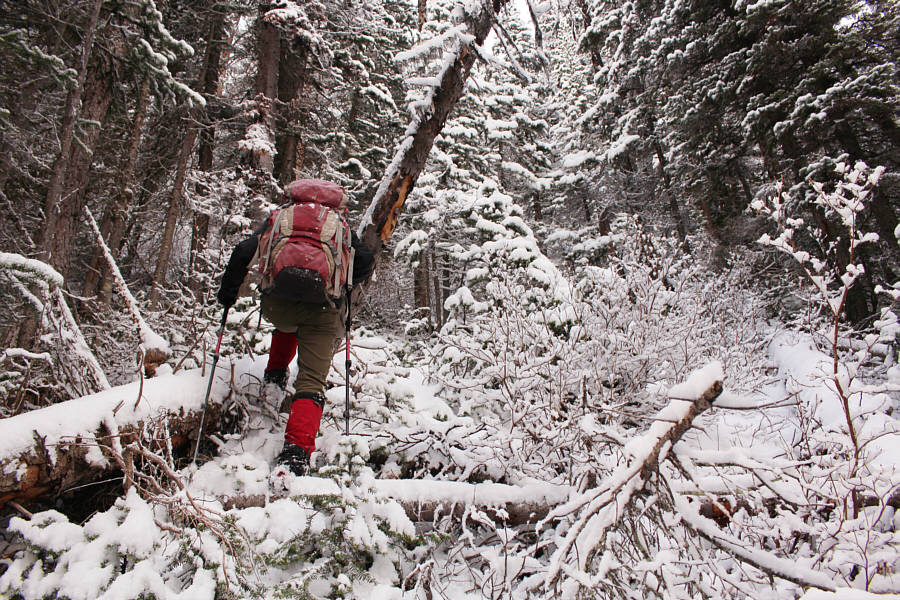 So much for Potter's f**king route!!