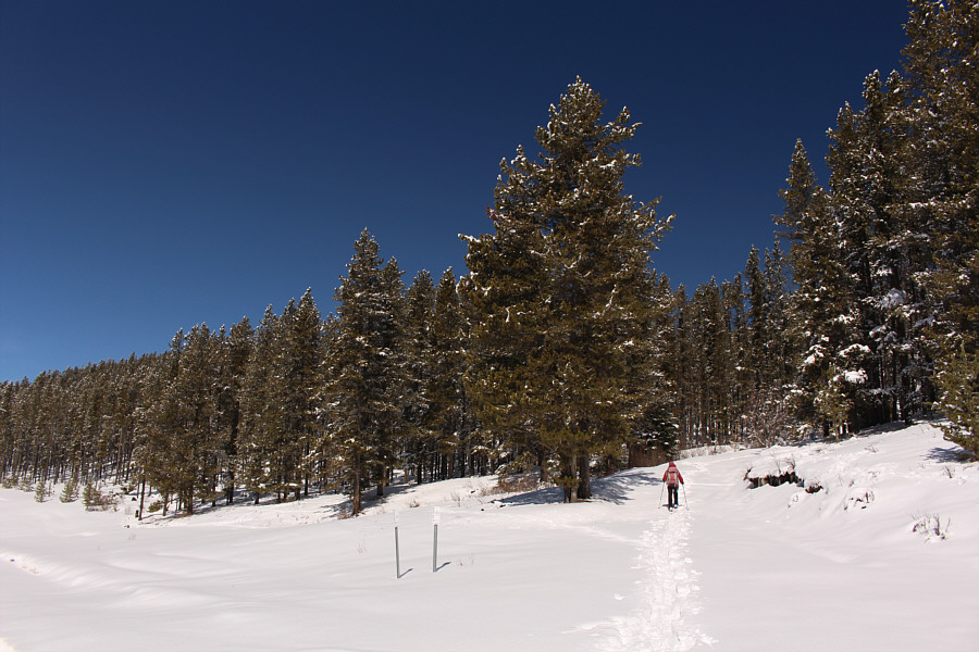 It's hard to believe there is still this much snow here in mid-April!