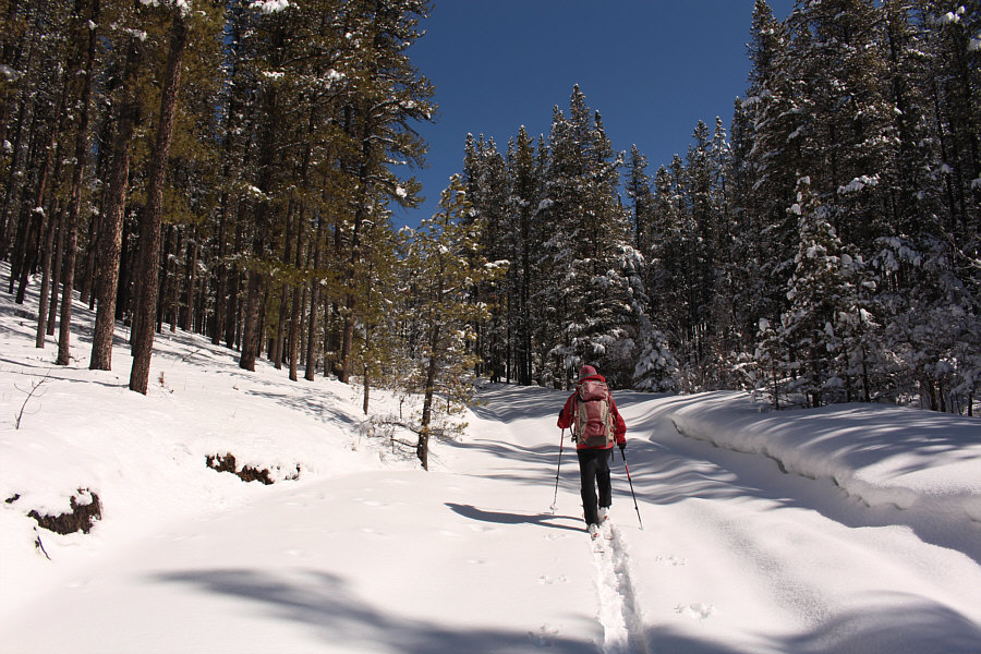 Almost a little boring...