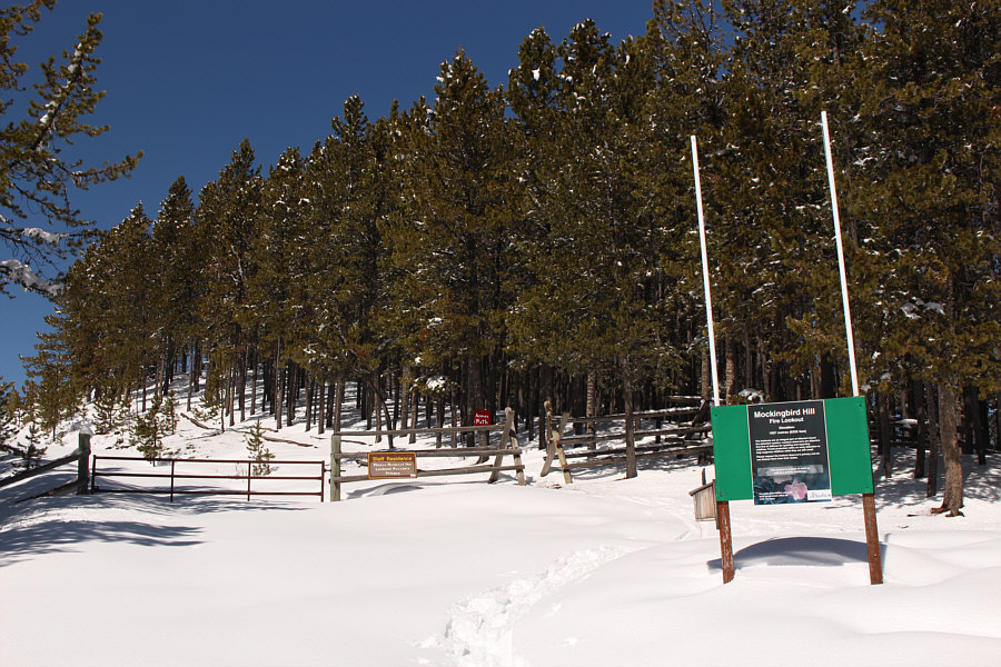 That's "Anne's Path"!