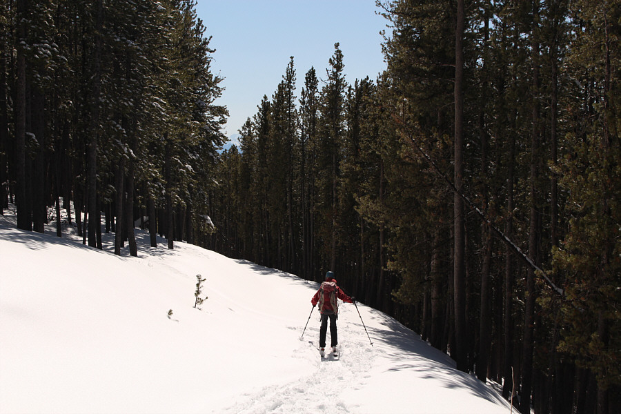 We actually free-heeled the entire descent!