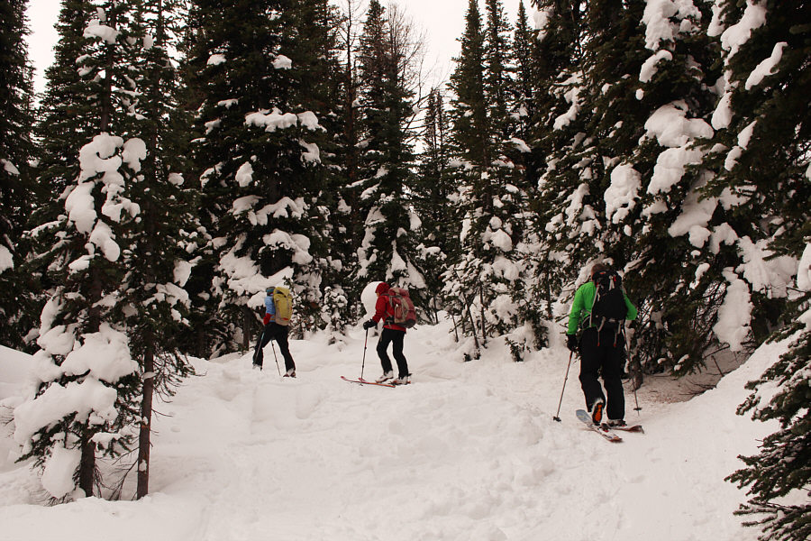 The price of admission.