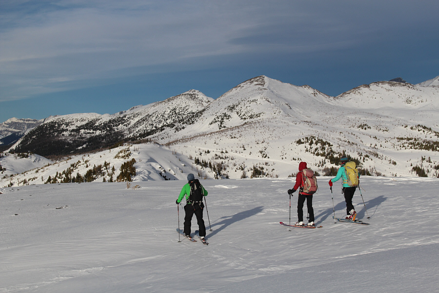 Still need the skins to get over the next hump.