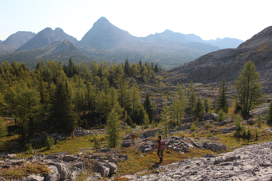 Almost makes you wanna give up here!