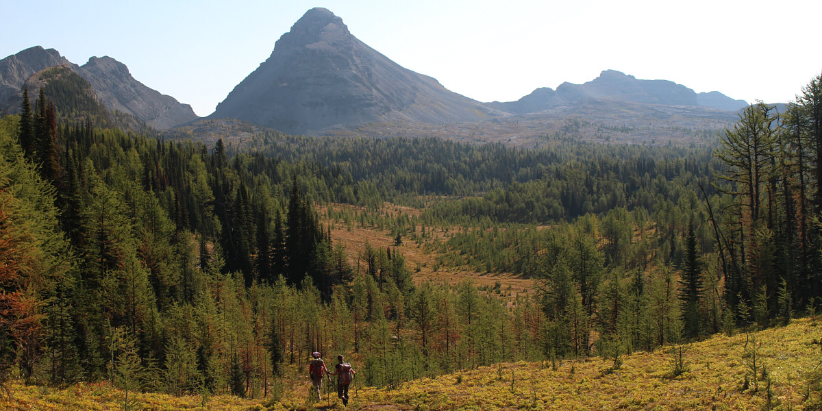Very pleasant hiking in this area.