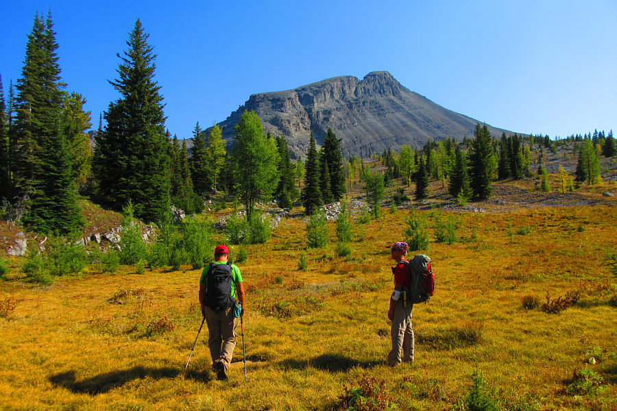 Still a lot of intervening ground to cover though!