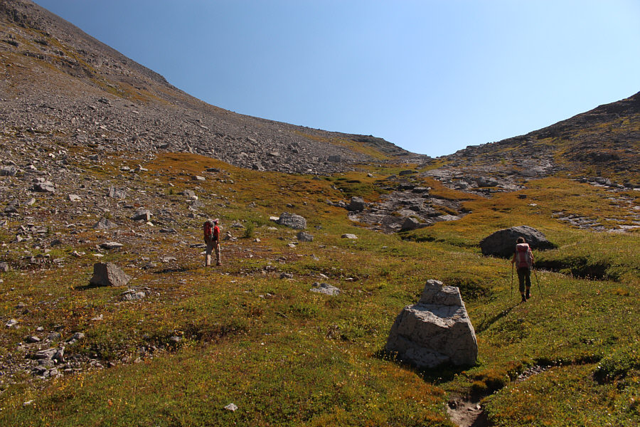 Keep an eye out for a tiny spring around here!