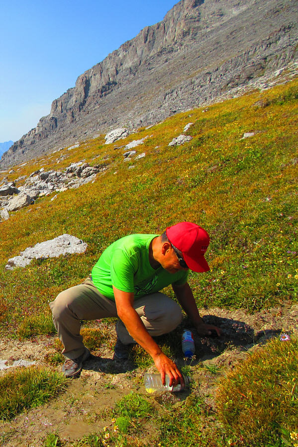 This was a godsend! The collected water was a bit silty, but it was cold and tasted great!