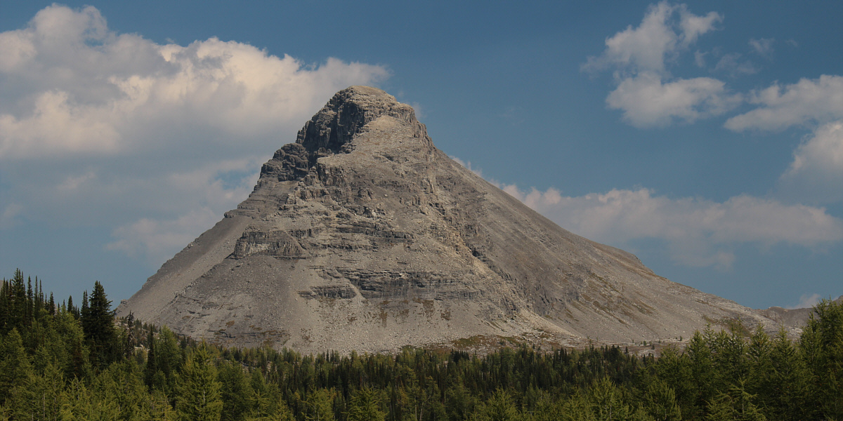 Almost looks kind of like a Dalek!