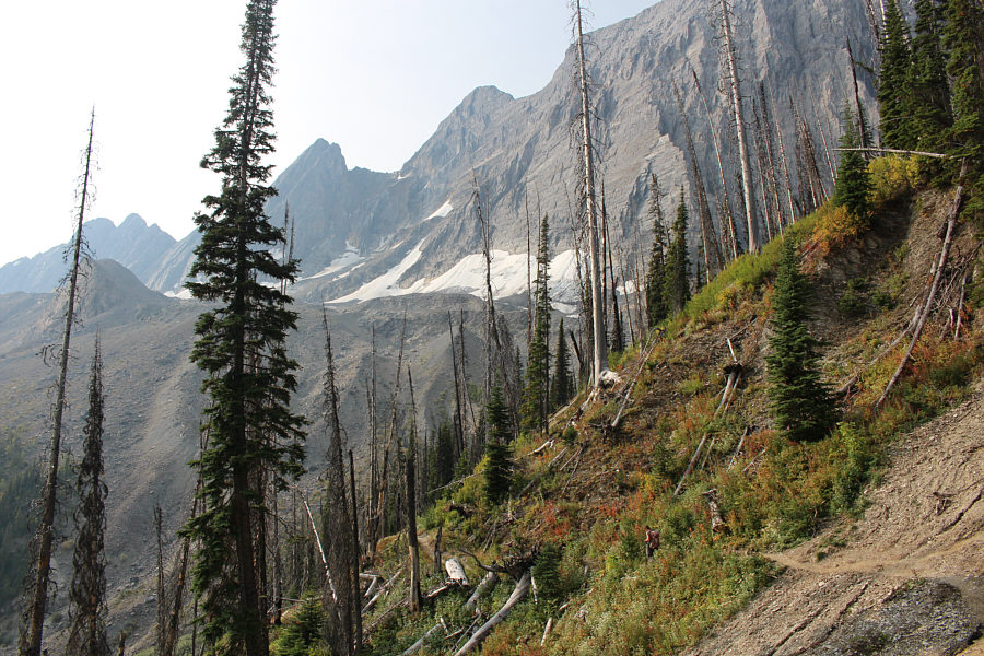 Even with a trail, it's a real grind to get up the headwall.